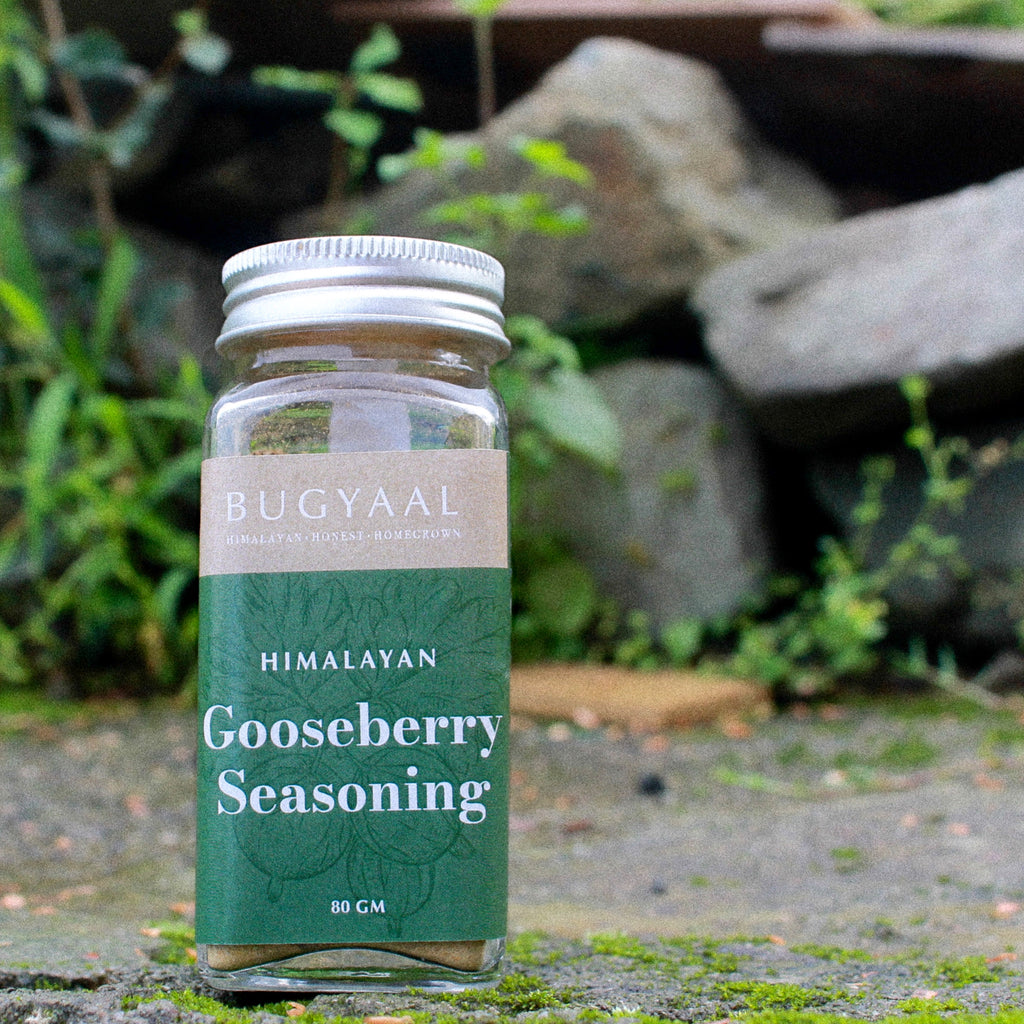 Bugyaal Himalayan Gooseberry Seasoning – 80g with Pahari Amla and spices